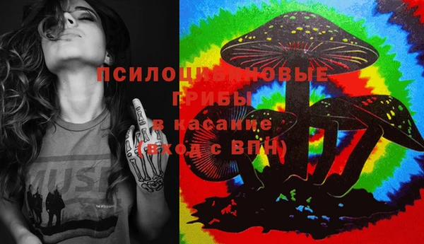 гидра Белокуриха