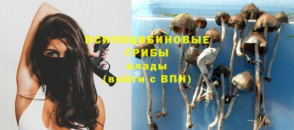 гидра Белокуриха