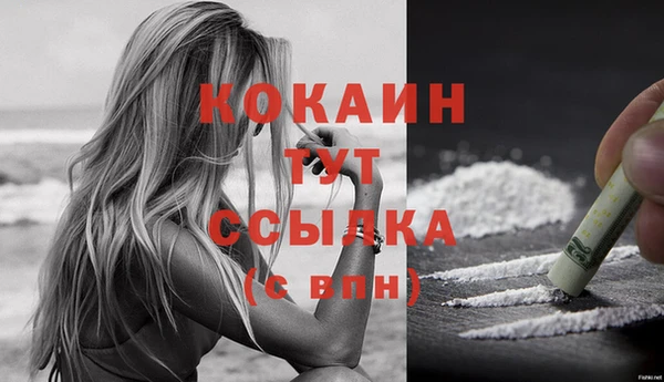 гидра Белокуриха