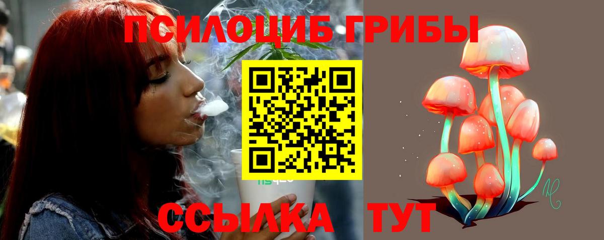 Псилоцибиновые грибы MAGIC MUSHROOMS  Галлюциногенные грибы прущие грибы  Гай  где можно купить наркотик  Вход с VPN 
